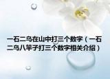 一石二鳥在山中打三個數(shù)字（一石二鳥八竿子打三個數(shù)字相關(guān)介紹）