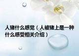 人豬什么感覺（人被豬上是一種什么感受相關介紹）