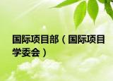 國際項目部（國際項目學委會）