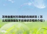 怎樣查看對方微信的在線狀態(tài)（怎么知道微信在不在線狀態(tài)相關(guān)介紹）