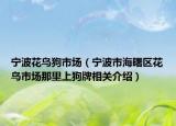 寧波花鳥狗市場(chǎng)（寧波市海曙區(qū)花鳥市場(chǎng)那里上狗牌相關(guān)介紹）