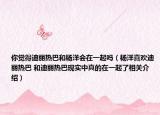 你覺得迪麗熱巴和楊洋會在一起嗎（楊洋喜歡迪麗熱巴 和迪麗熱巴現(xiàn)實中真的在一起了相關(guān)介紹）