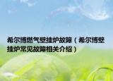 希爾博燃?xì)獗趻鞝t故障（希爾博壁掛爐常見故障相關(guān)介紹）
