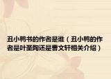 丑小鴨書的作者是誰（丑小鴨的作者是葉圣陶還是曹文軒相關介紹）
