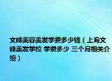 文峰美容美發(fā)學費多少錢（上海文峰美發(fā)學校 學費多少 三個月相關介紹）