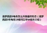 造夢(mèng)西游3龜布怎么升級(jí)最終形態(tài)（造夢(mèng)西游3年龜布19級(jí)可以學(xué)水相關(guān)介紹）