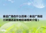 金誼廣場在什么街道（金誼廣場是三林鎮(zhèn)還是東明街道相關(guān)介紹）