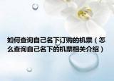 如何查詢(xún)自己名下訂購(gòu)的機(jī)票（怎么查詢(xún)自己名下的機(jī)票相關(guān)介紹）