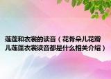 蓮蓬和衣裳的讀音（花骨朵兒花瓣兒蓮蓬衣裳讀音都是什么相關(guān)介紹）