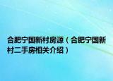 合肥寧國(guó)新村房源（合肥寧國(guó)新村二手房相關(guān)介紹）