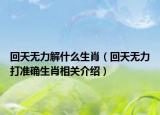 回天無力解什么生肖（回天無力打準確生肖相關(guān)介紹）
