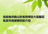 誰能告訴我山東省有哪些大型服裝批發(fā)市場謝謝你的介紹