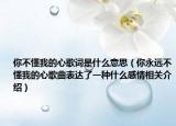 你不懂我的心歌詞是什么意思（你永遠不懂我的心歌曲表達了一種什么感情相關(guān)介紹）