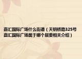 嘉匯國際廣場什么街道（天鑰橋路325號嘉匯國際廣場屬于哪個居委相關介紹）