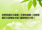 合肥濱湖東方藍海二手房安居客（合肥濱湖東方藍海金水街門面房相關介紹）