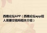 西樵論壇APP（西樵論壇app招人需要交錢嗎相關(guān)介紹）