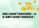 美國dc漫畫旗下超級反派團隊（白兔 美國DC漫畫旗下的超級反派）