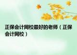 正保會計網校最好的老師（正保會計網校）