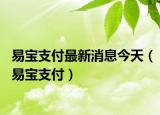 易寶支付最新消息今天（易寶支付）