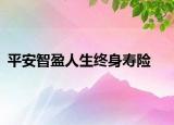 平安智盈人生終身壽險(xiǎn)