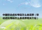 中國移動虛擬號碼怎么查話費（移動虛擬號碼怎么查話費相關介紹）