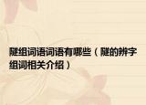 隧組詞語詞語有哪些（隧的辨字組詞相關介紹）