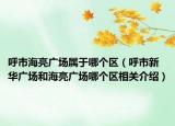 呼市海亮廣場屬于哪個區(qū)（呼市新華廣場和海亮廣場哪個區(qū)相關(guān)介紹）