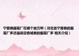 寧晉縣服裝廠在哪個地方?。ê颖笔帟x縣的服裝廠多還是保定容城縣的服裝廠多 相關介紹）