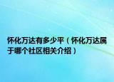 懷化萬達有多少平（懷化萬達屬于哪個社區(qū)相關(guān)介紹）