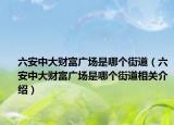 六安中大財(cái)富廣場(chǎng)是哪個(gè)街道（六安中大財(cái)富廣場(chǎng)是哪個(gè)街道相關(guān)介紹）