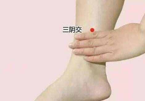 三陰交在哪里，三陰交的準確位置圖和作用