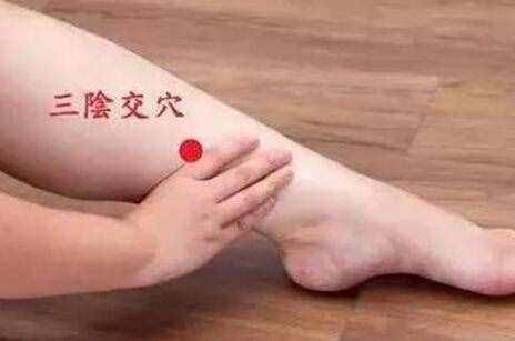 三陰交在哪里，三陰交的準確位置圖和作用