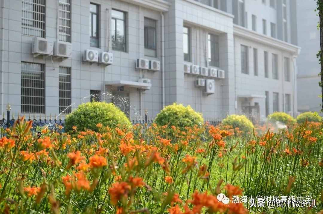錦州渤海大學附中、育明、藝高2020年招生計劃