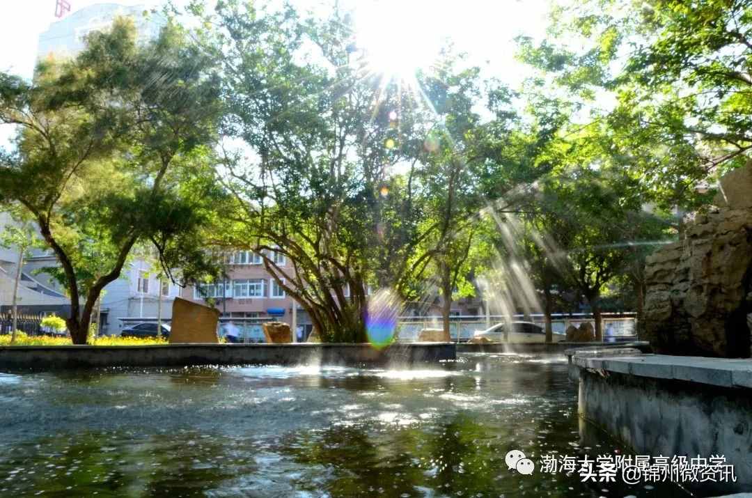 錦州渤海大學附中、育明、藝高2020年招生計劃