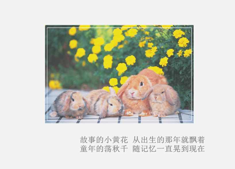 兒童節(jié)快樂(lè)｜童心未泯，六一萬(wàn)歲 愿你歲月無(wú)憂，一生久安
