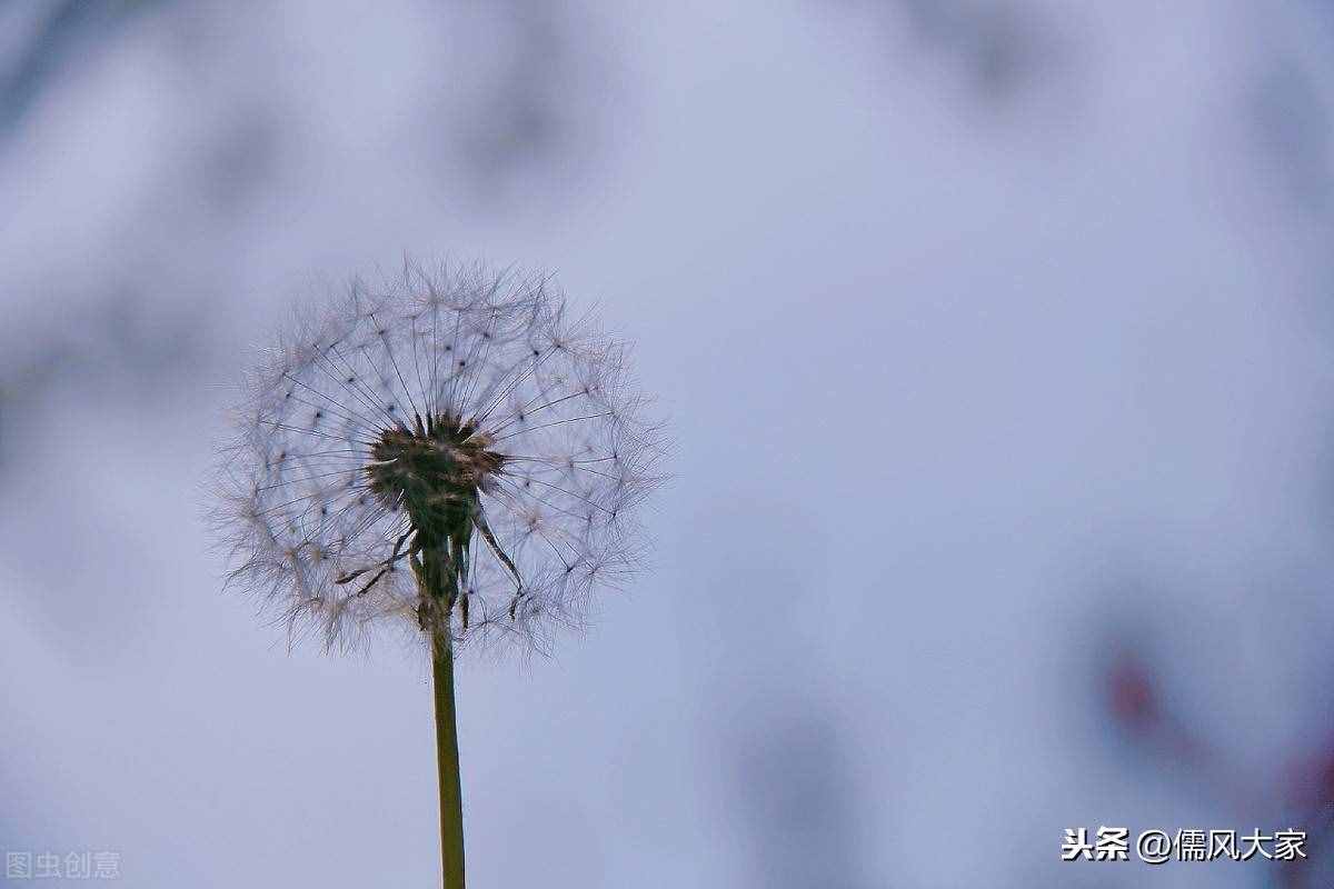 10個小故事，人生大智慧