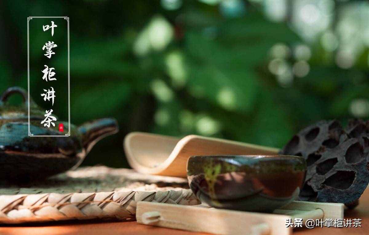 如何沖泡茶葉，這六大步驟，你知道嗎？