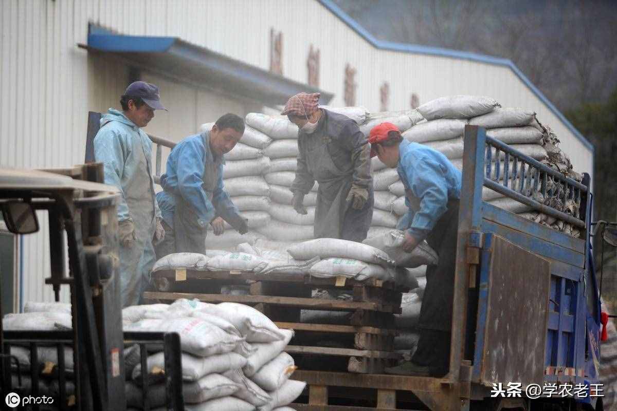 磷肥是什么？有什么功能？怎樣用？半懂不懂，少不了吃虧上當