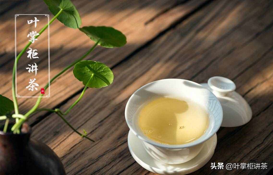 如何正確沖泡鐵觀音？從四個(gè)角度教你怎么泡出更好喝的鐵觀音