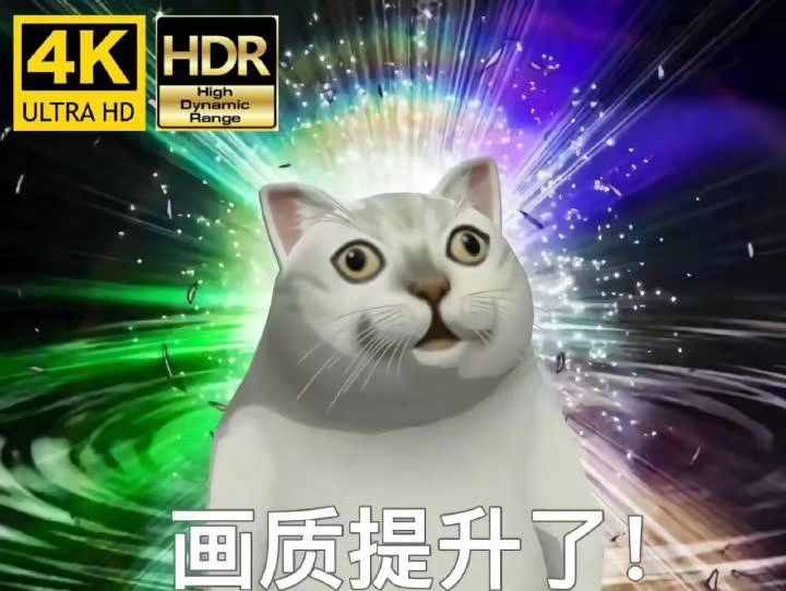 這只網(wǎng)紅貓貓到底出自哪里？看完這篇，我感覺奇怪的知識增加了