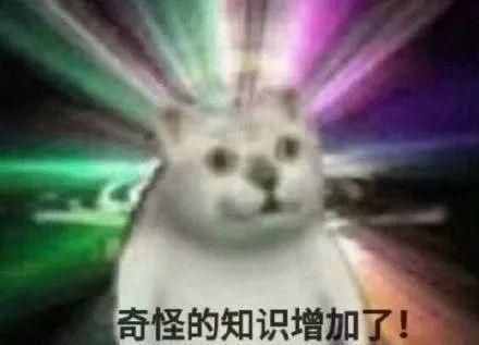 這只網(wǎng)紅貓貓到底出自哪里？看完這篇，我感覺奇怪的知識增加了