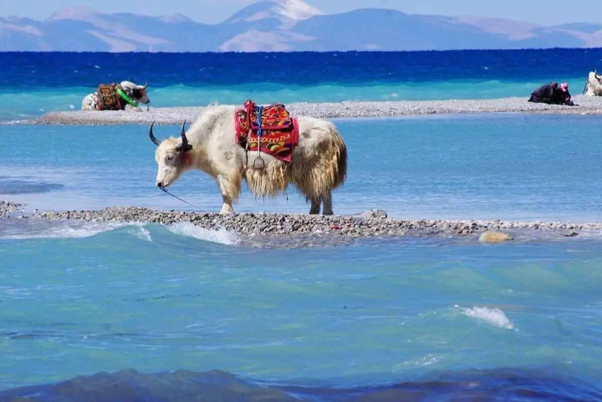 中國最美的五大湖泊，最高的達到4718米，你都去過嗎？