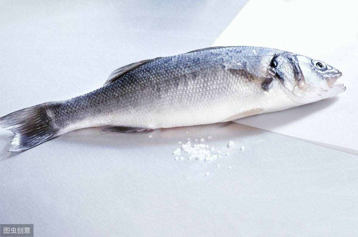 常見淡水魚介紹，讓你菜市場買魚不再怕買錯，進階高手