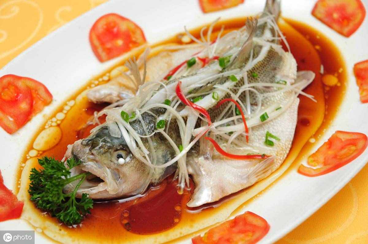 常見淡水魚介紹，讓你菜市場買魚不再怕買錯，進階高手