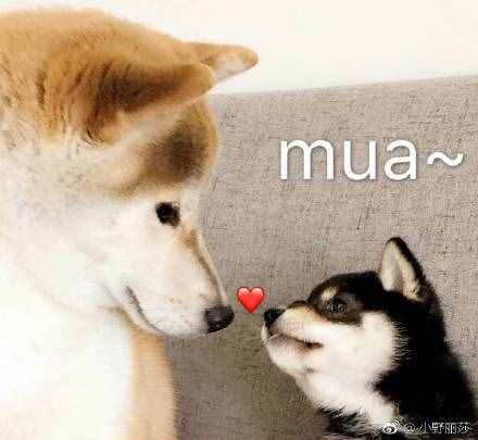 結(jié)婚祝福語8個(gè)字 祝福新人結(jié)婚賀詞簡(jiǎn)短、四字成語