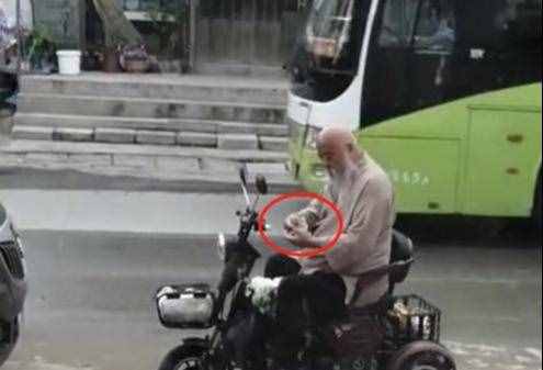 64歲李琦太真實！騎小三輪買菜，挺著大肚子在街頭數(shù)錢