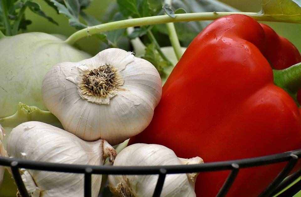 感冒了吃什么？這10種蔬菜能緩解癥狀~