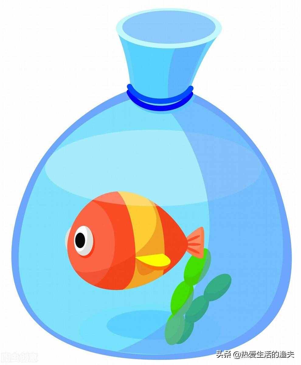 養(yǎng)好金魚日常要注意哪些事項？