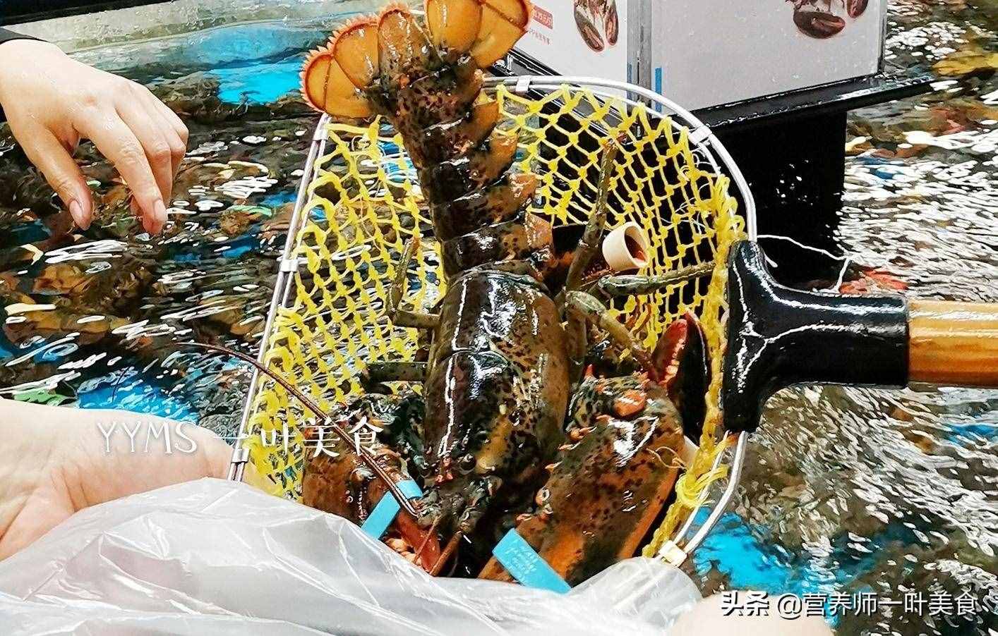 波士頓龍蝦，五星級酒樓味道，新手也能做，鮮香過癮，7分鐘上桌