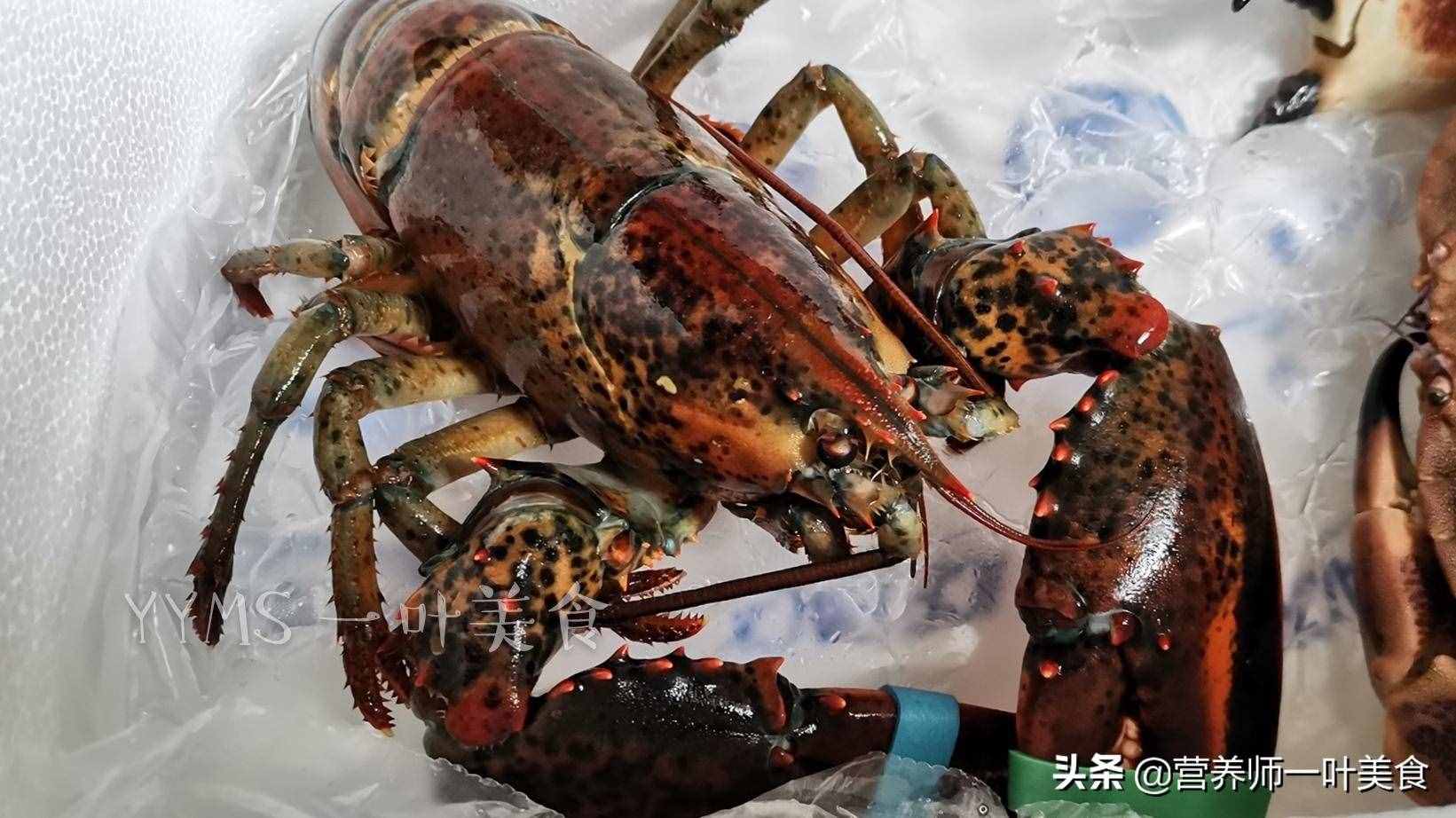 波士頓龍蝦，五星級酒樓味道，新手也能做，鮮香過癮，7分鐘上桌